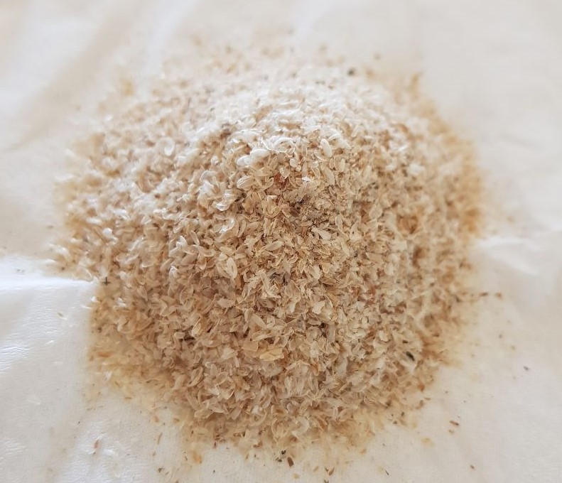 7 Razões para Tornar o Psyllium Parte do Seu Dia a Dia